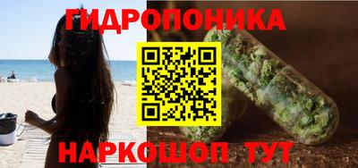 гашик Кунгур