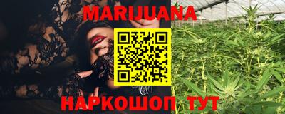 гашик Кунгур