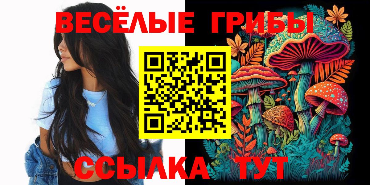 Знаменск  Псилоцибиновые грибы прущие грибы  Вход с VPN 