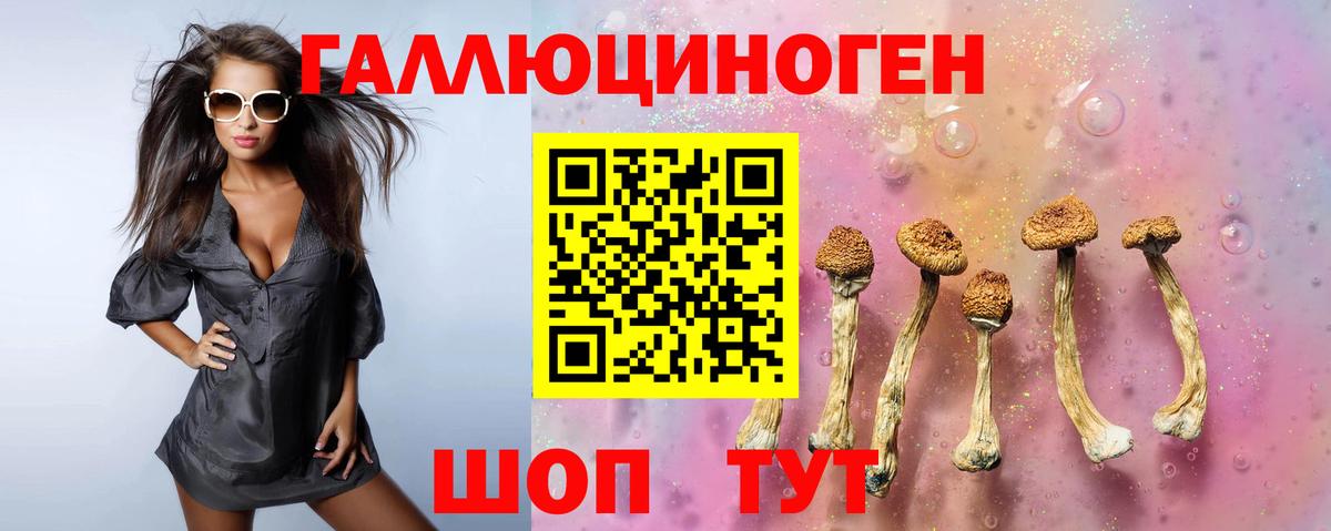 Галлюциногенные грибы Magic Shrooms Знаменск